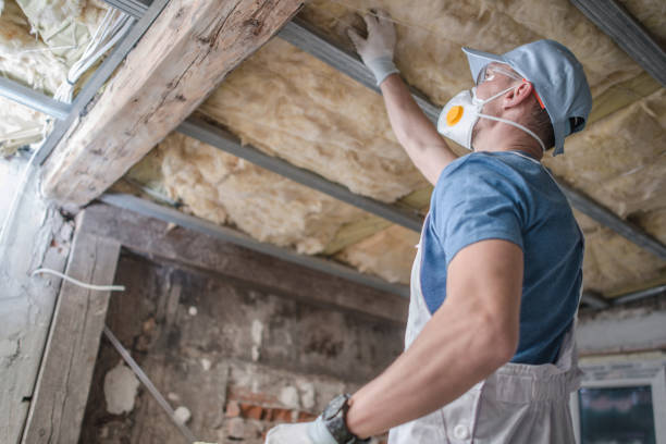 Best Eco-Friendly Insulation in Ken Caryl, CO