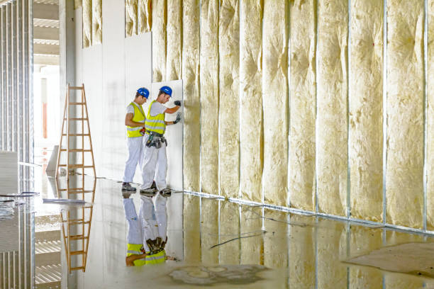Best Cellulose Insulation in Ken Caryl, CO